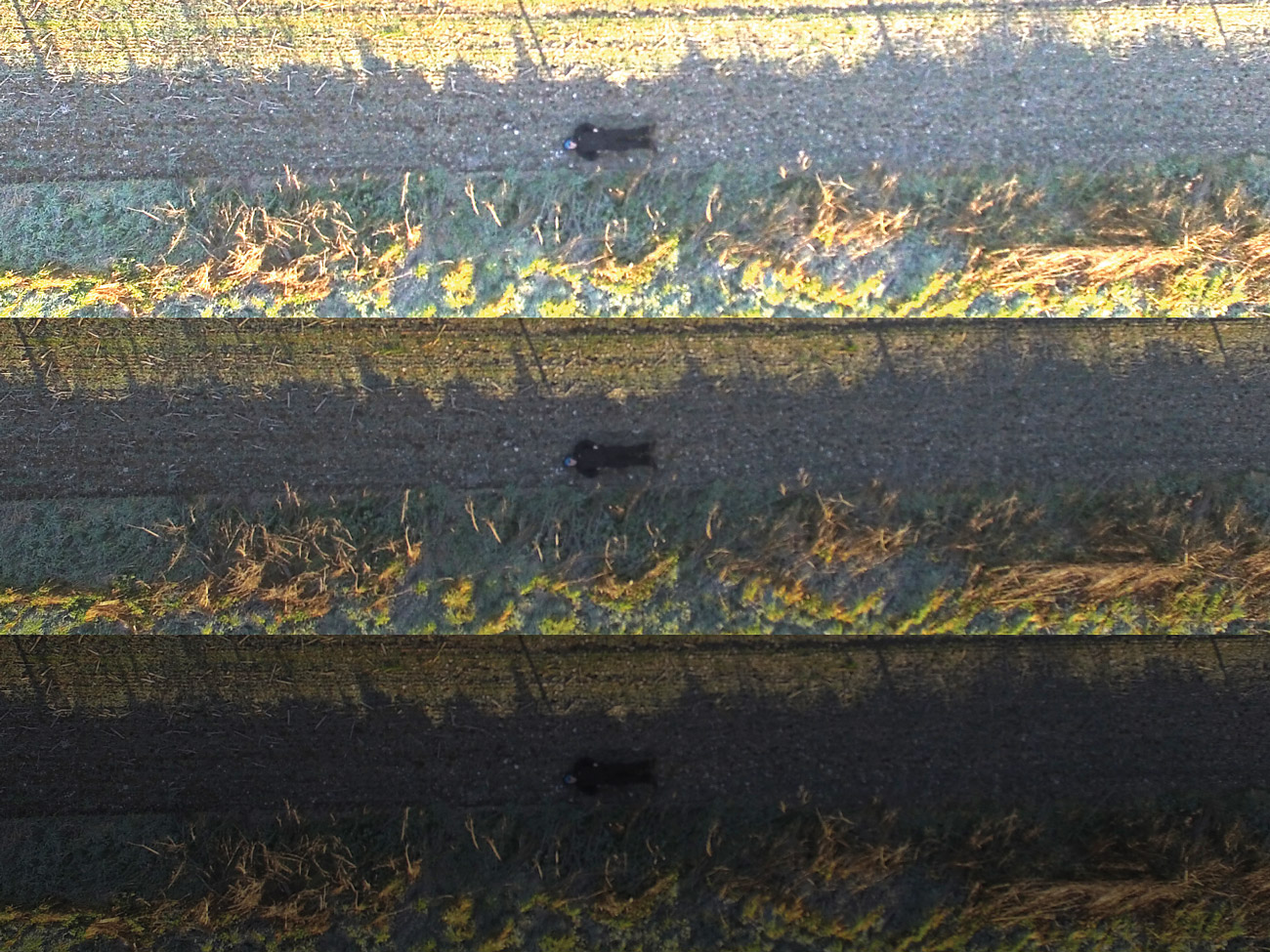 The difference exposure can make to the probability of detection. Image courtesy of SkyBound Rescuer.