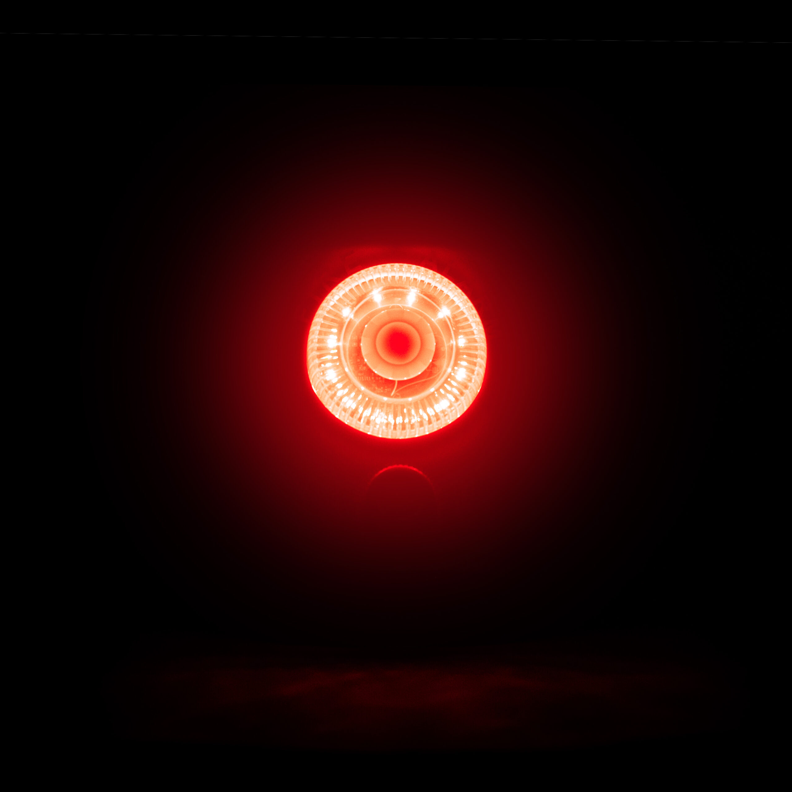 Image Copyright Attribution: CheckFire
